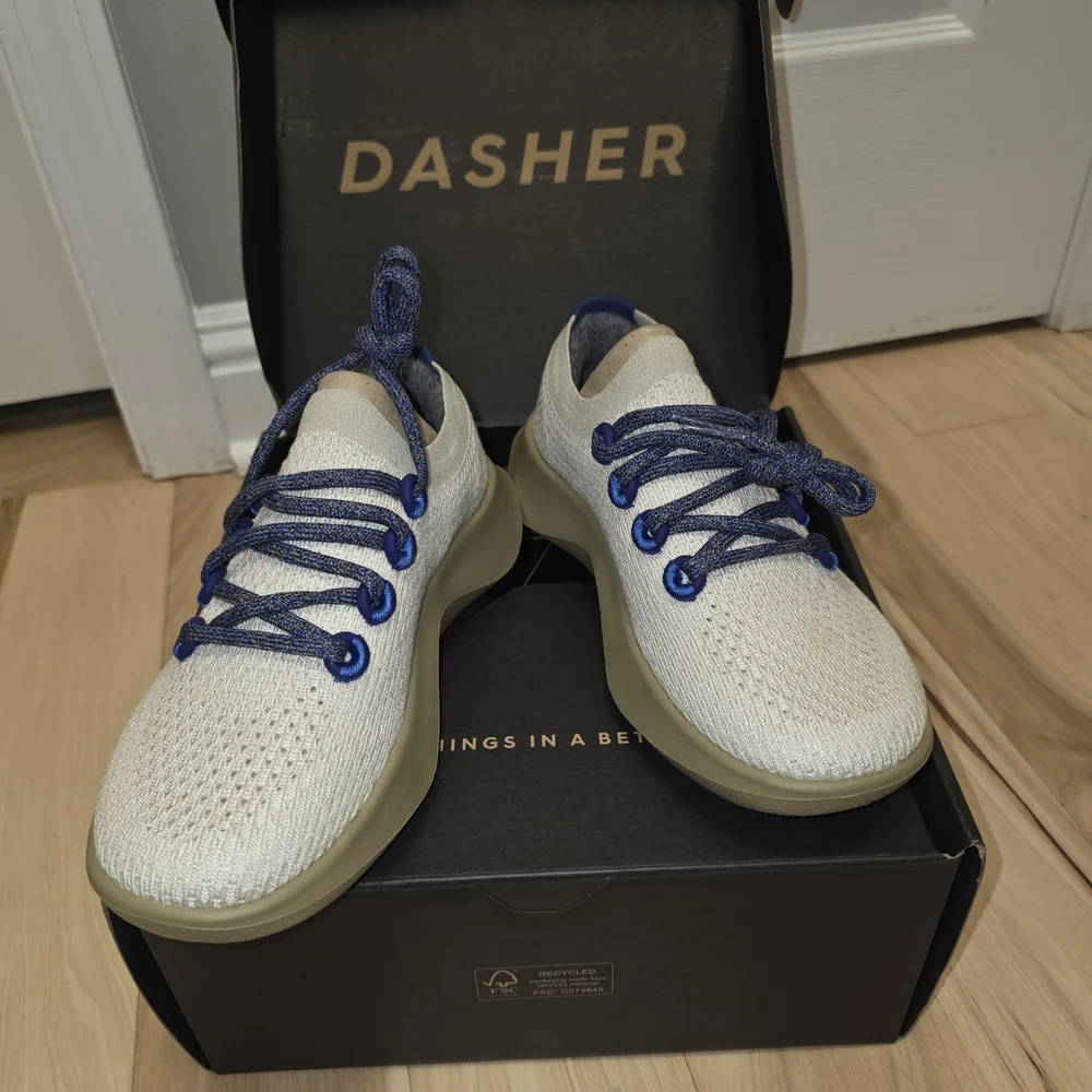 Allbirds Tree Dashers in Beige - Picture 1 of 8